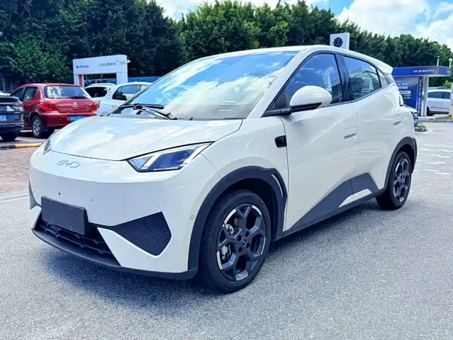 2025 BYD Seagull