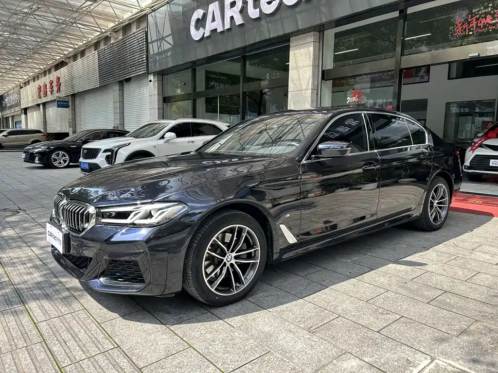BMW 5 SERIES