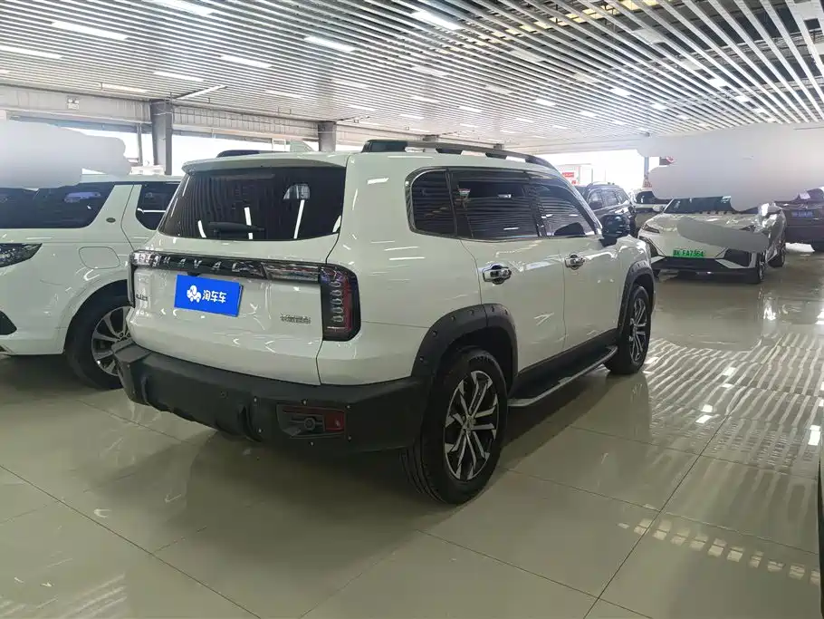 HAVAL BIG DOG