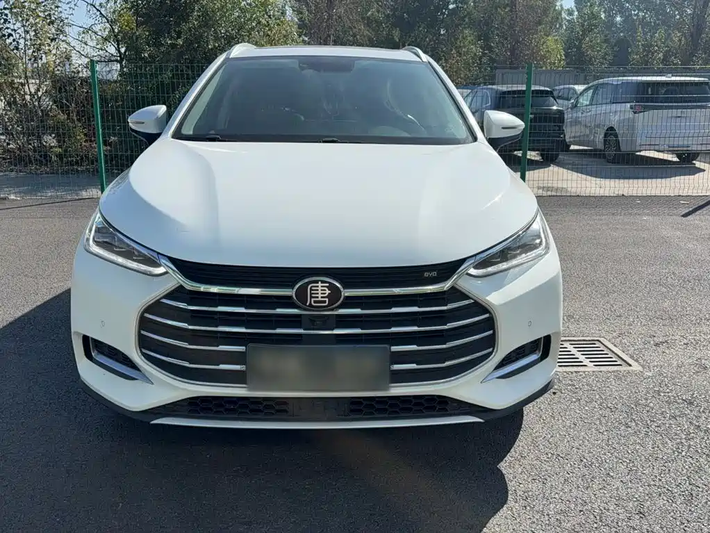 BYD Tang — миниатюра 7