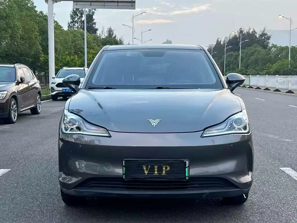 Neta V