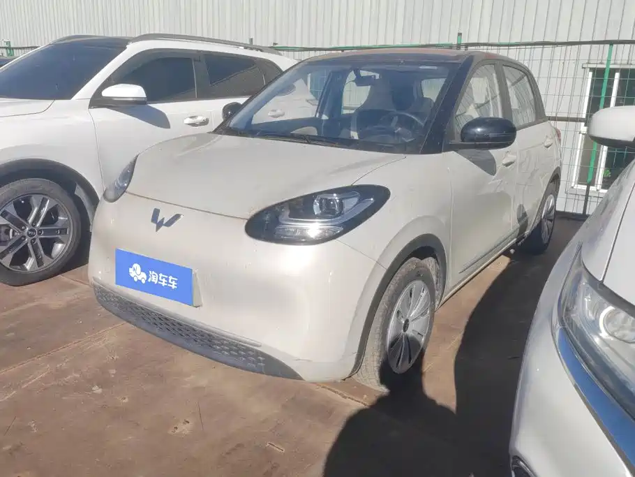 Wuling Binguo