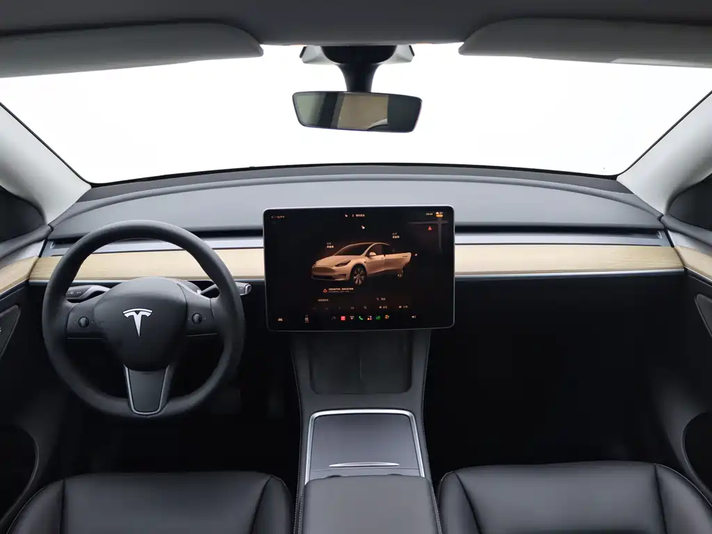 Tesla Model Y — миниатюра 15