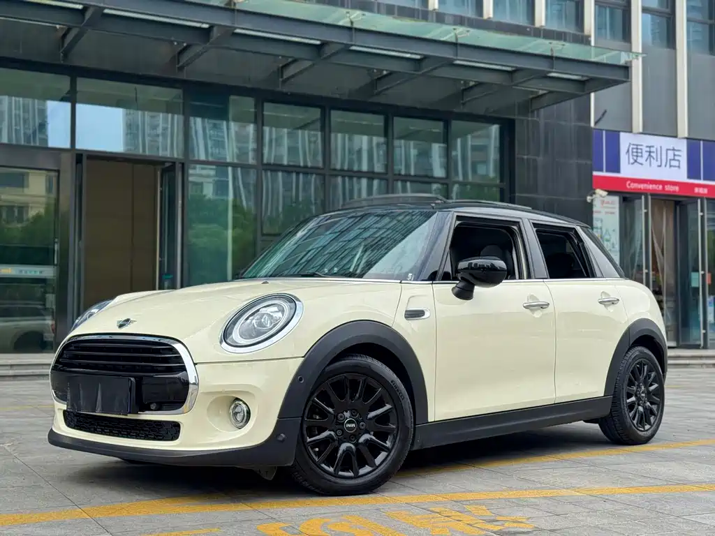 Mini Mini 2020