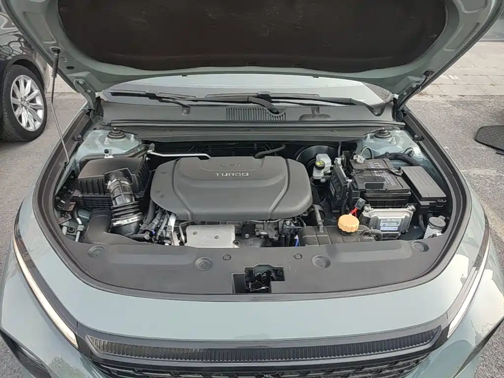 Baojun Valli — миниатюра 20