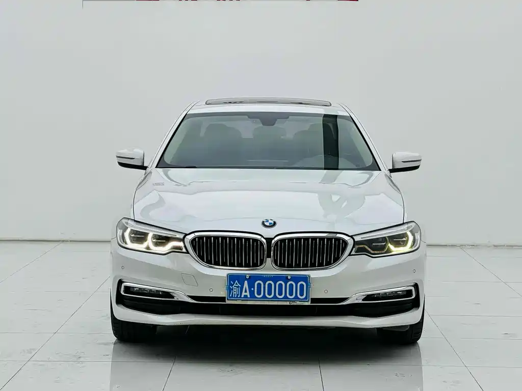 BMW 5 Series 5 2018 530Li Premium Luxury