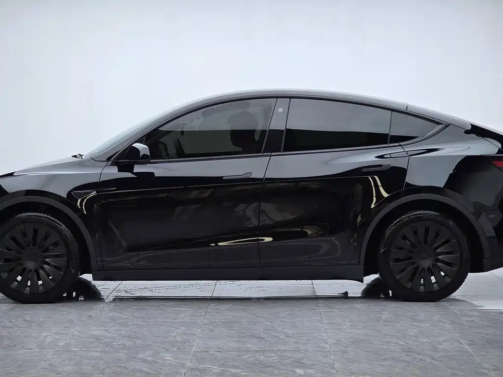 Tesla Model Y — миниатюра 10