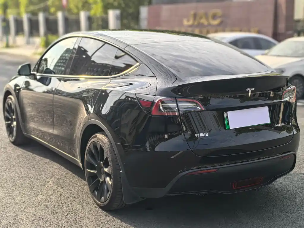 Tesla Model Y — миниатюра 9