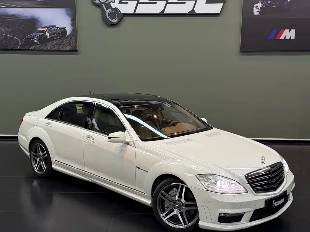 Mercedes-Benz S-Class A MG S AMG 2010 AMG S 65