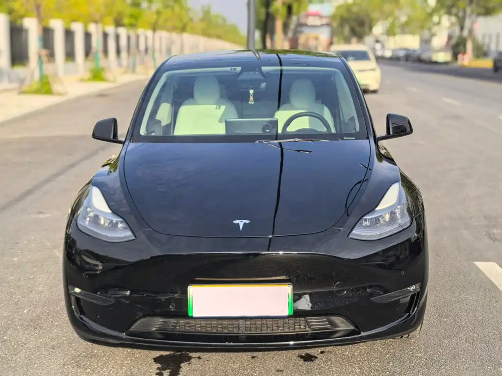 Tesla Model Y — миниатюра 2