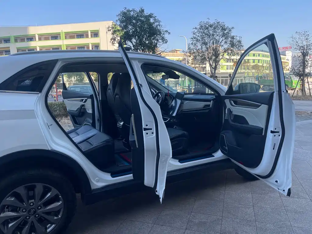 Weltmeister WEIMA EX5