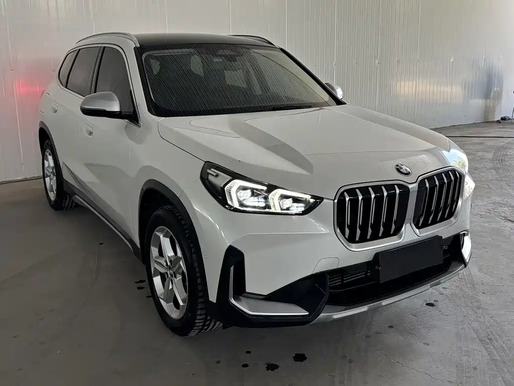 BMW X1 — миниатюра 2