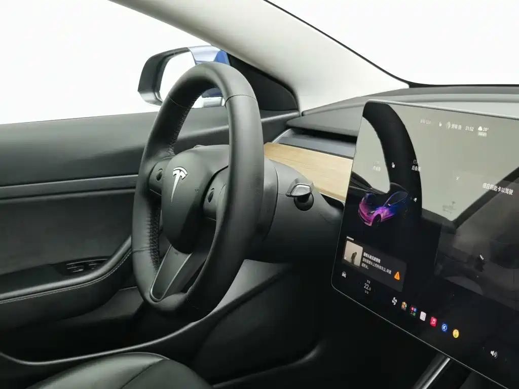 Tesla Model 3 — миниатюра 22