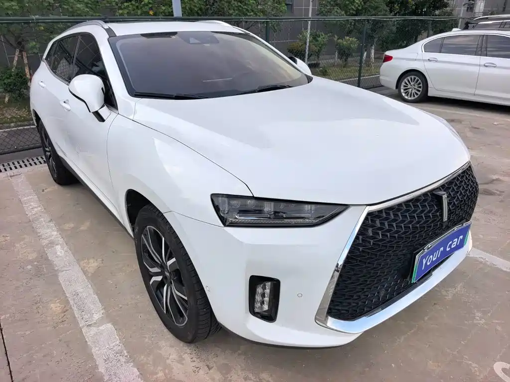Wey Wey P8 — миниатюра 3