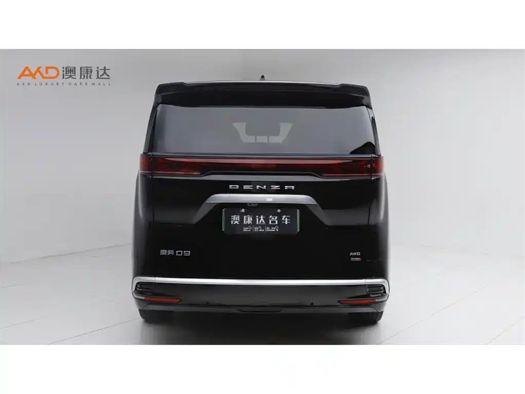 Denza Denza D9 — миниатюра 4