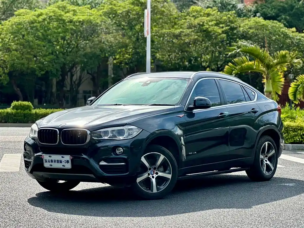 BMW X6 2015