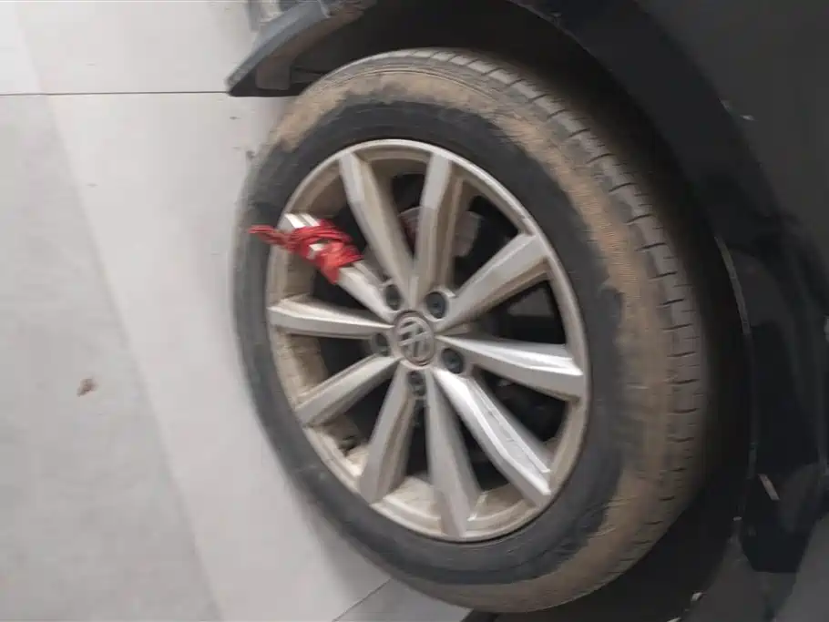 Volkswagen Magotan 2018 330TSI DSG Lead