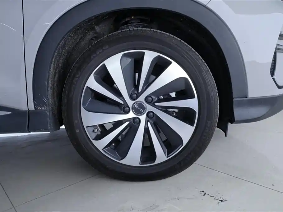 BYD Song Plus PLUS 2024 DM-i 110km Flagship