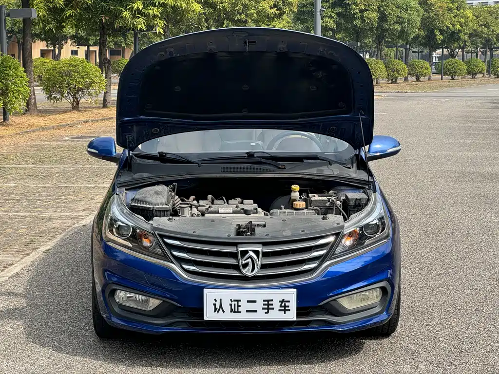 BAOJUN 310W