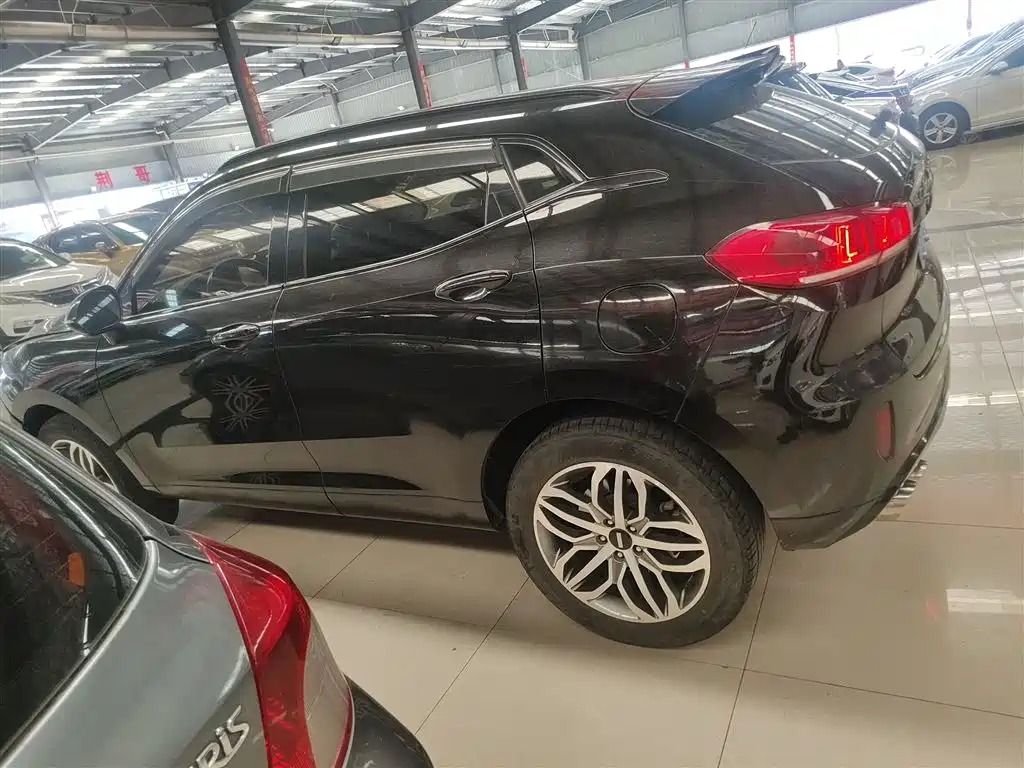 WEI PAI WEI BRAND VV5