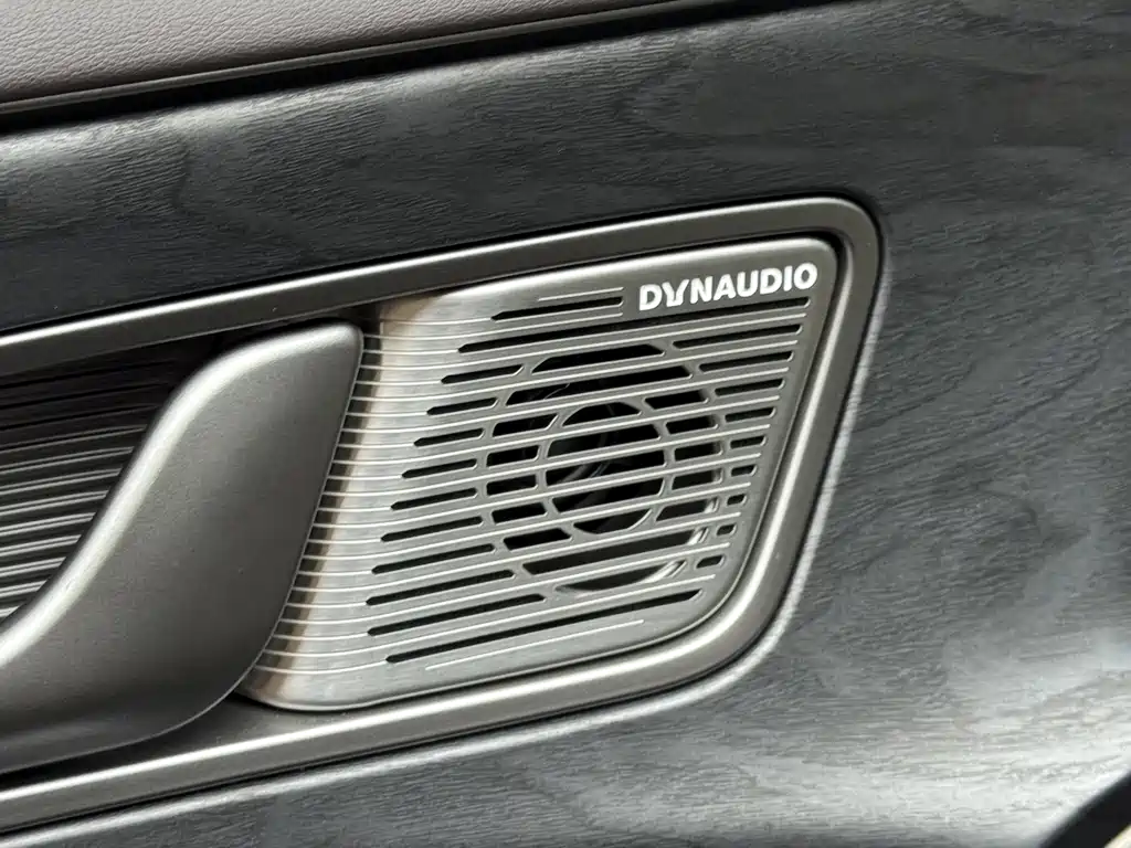 Denza Denza D9 — миниатюра 17
