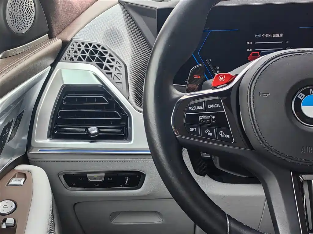 BMW XM Basic Type, фото 15
