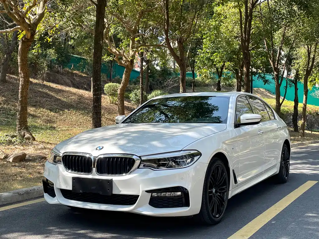BMW 5 Series 2018