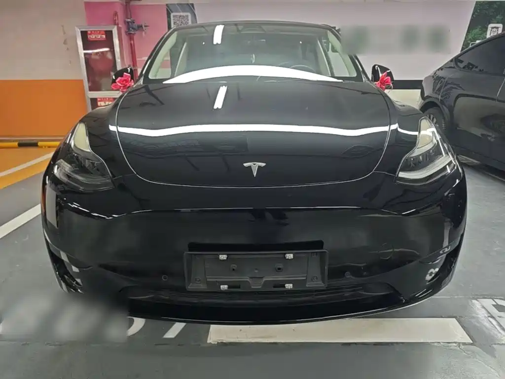 Tesla Model Y — миниатюра 3