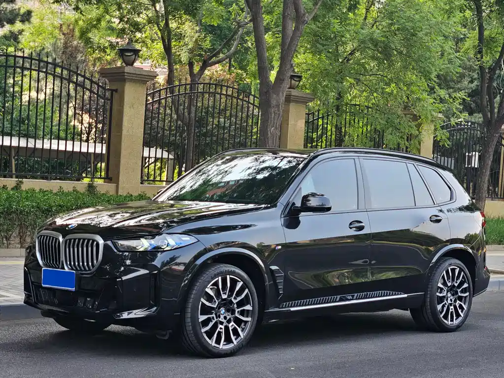 BMW X5 2024