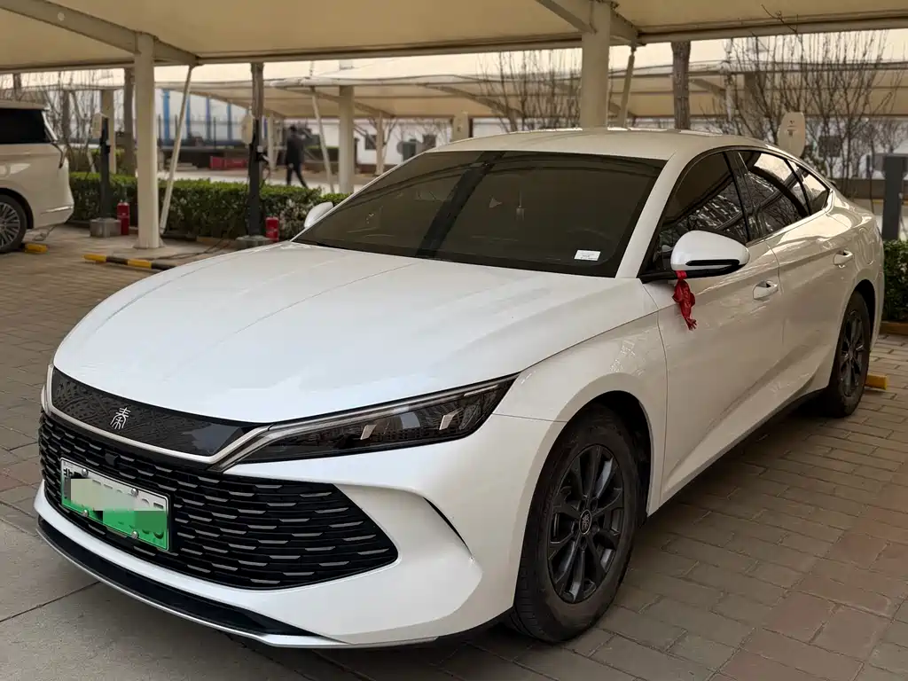 Byd Qin L 2025