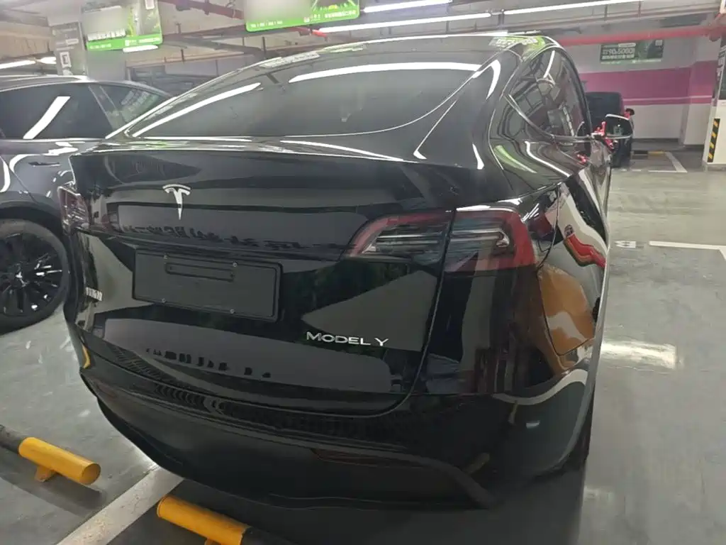 Tesla Model Y — миниатюра 6