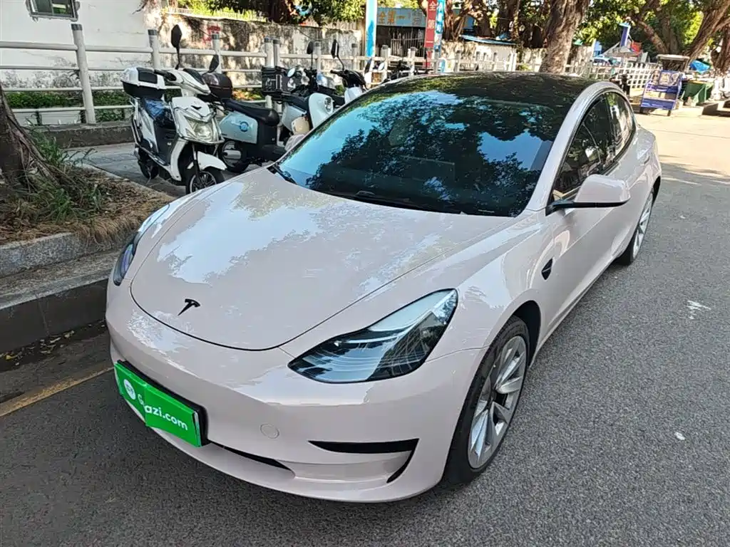Tesla Model 3 2022