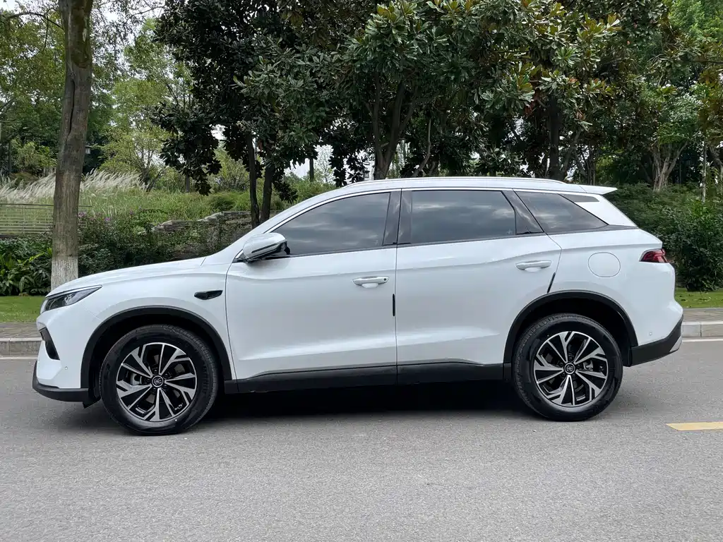 BYD Pro New Energy — миниатюра 4