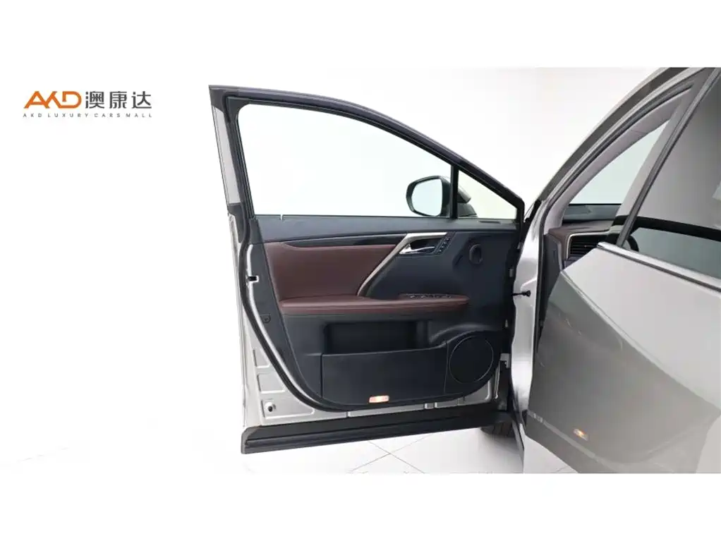 Lexus RX 2020 300 Elegant VI