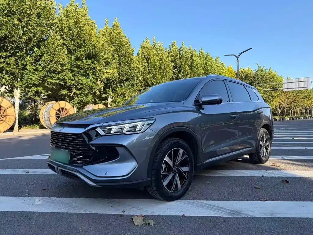 BYD Pro New Energy — миниатюра 2
