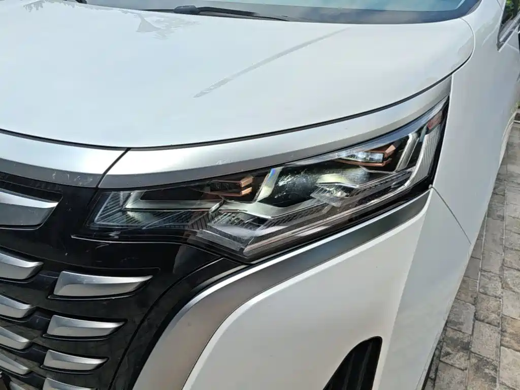 Denza Denza D9 — миниатюра 24