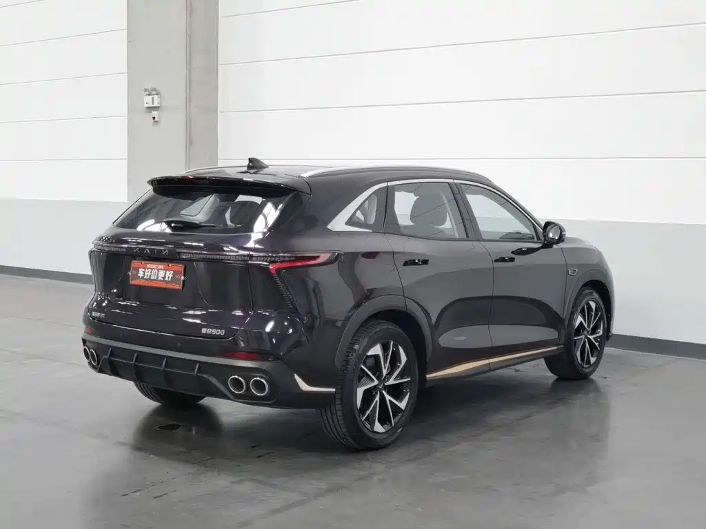 Cowin Kunlun — миниатюра 2