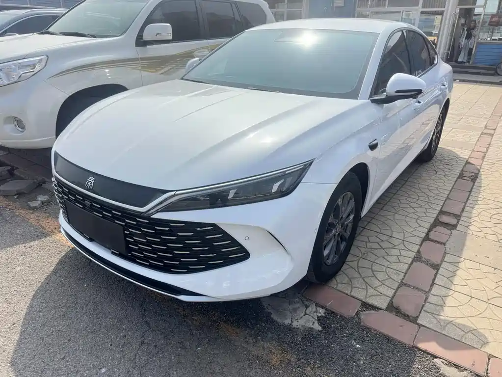 Byd Qin L 2025