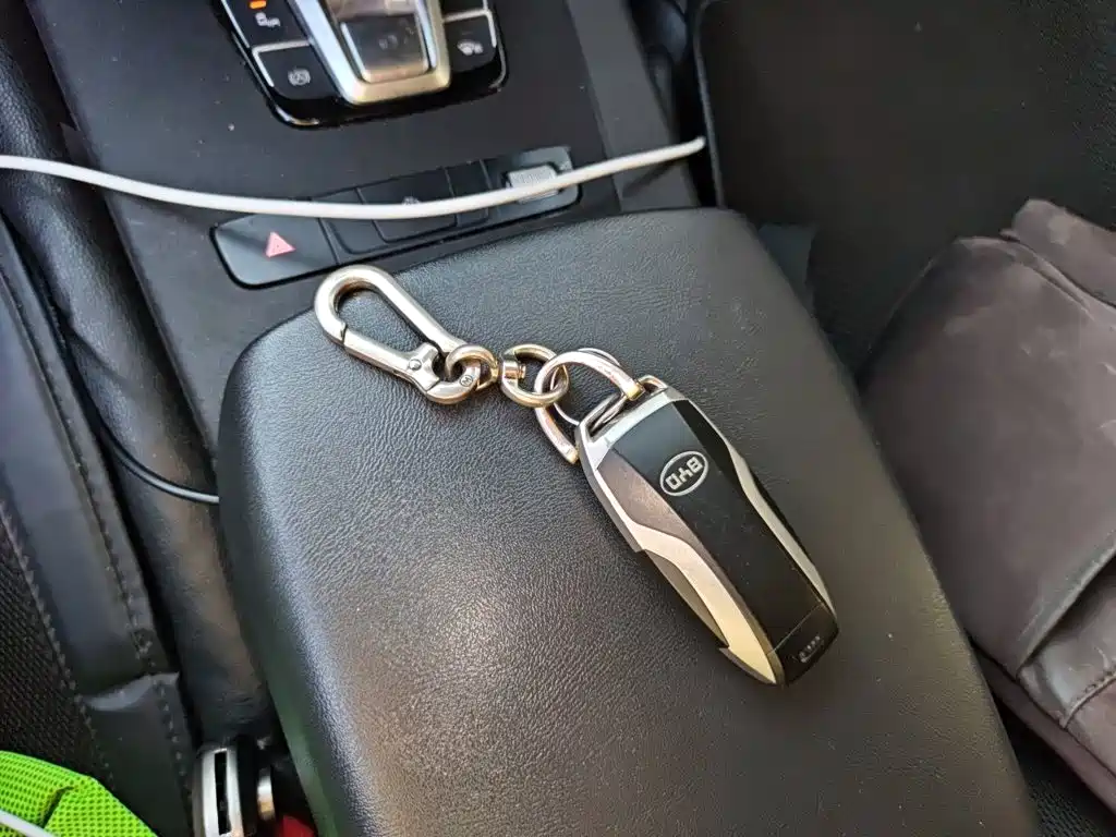 BYD Pro — миниатюра 9