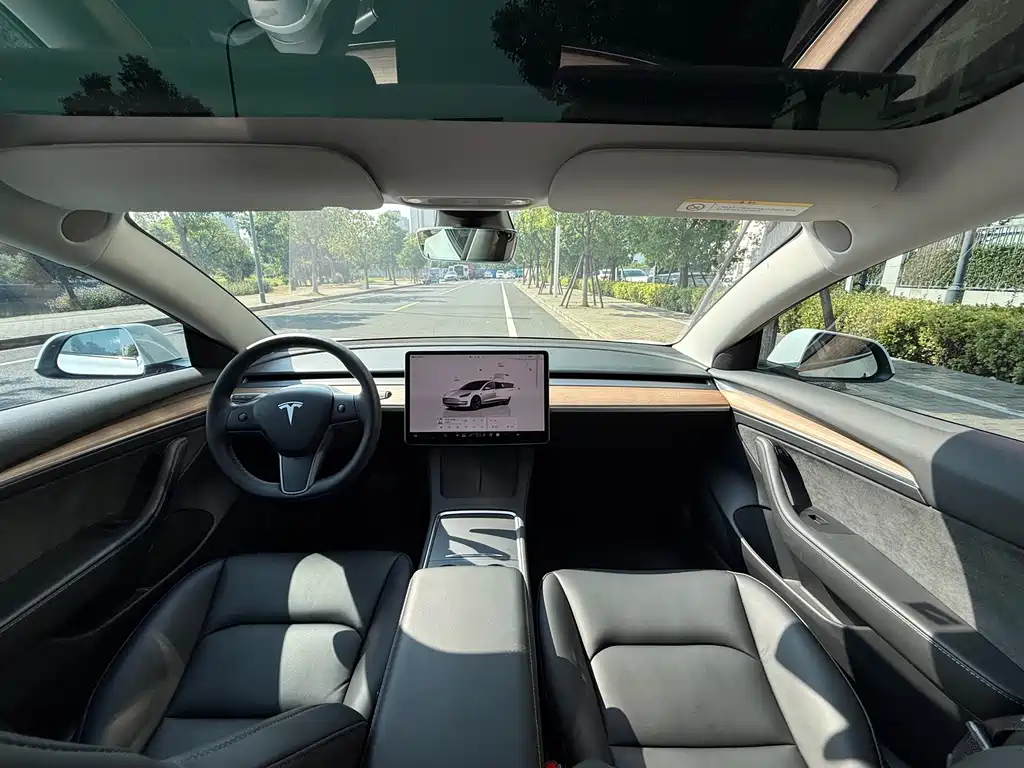Tesla Model 3 — миниатюра 8