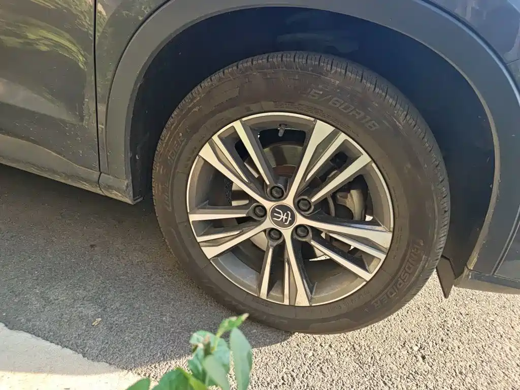 BYD Pro — миниатюра 8