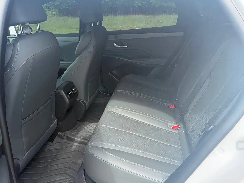 BYD Qin Plus PLUS 2025 DM-i Smart Drive 55KM Lead