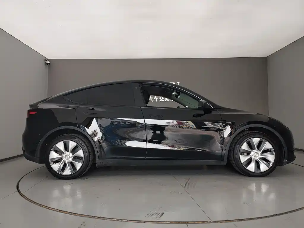 Tesla Model Y — миниатюра 4
