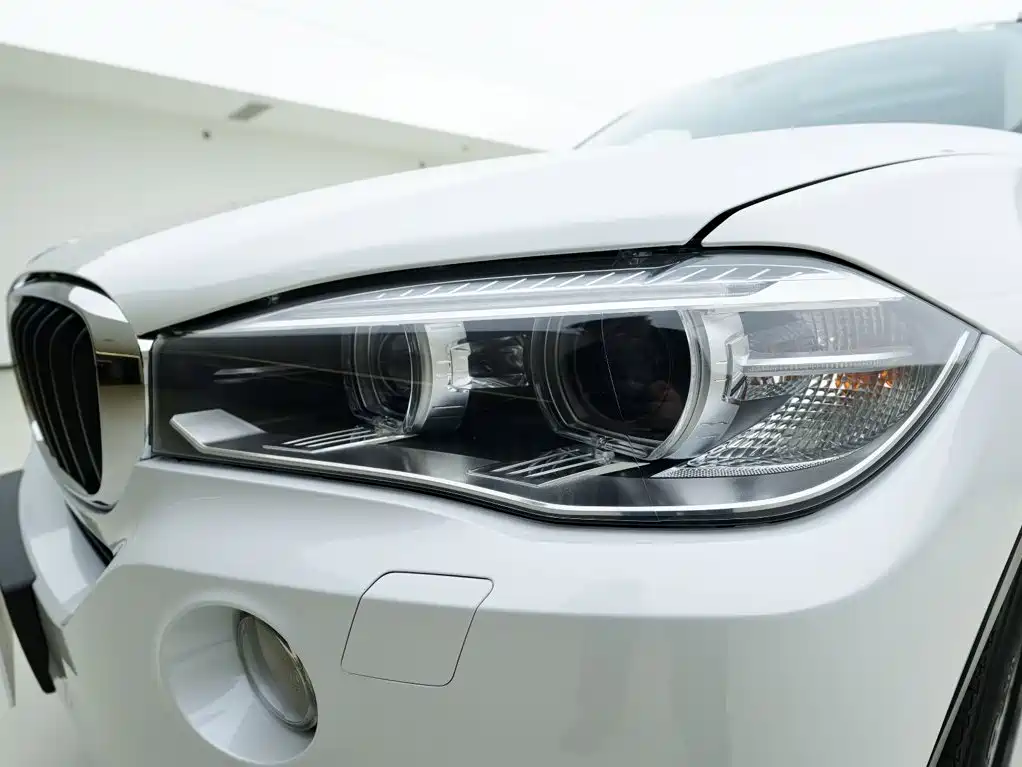 BMW X5 (Import) — миниатюра 11