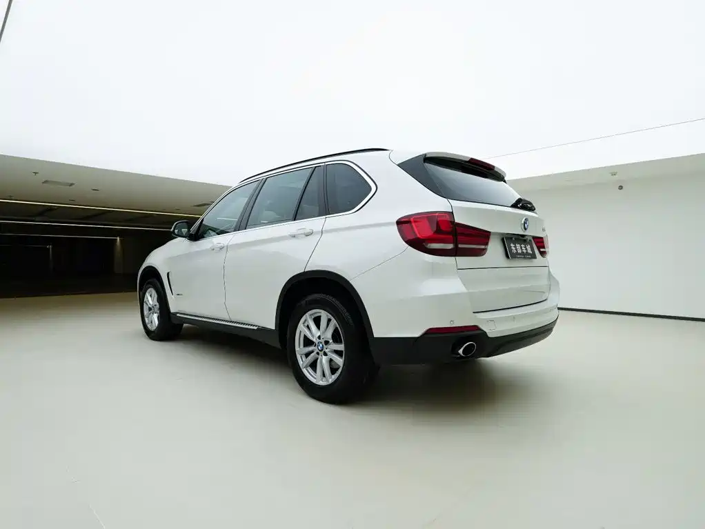 BMW X5 (Import) — миниатюра 6
