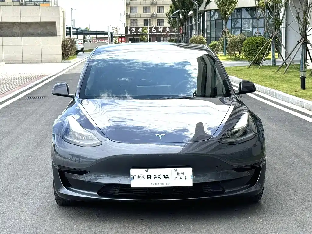 Tesla Model 3 — миниатюра 2