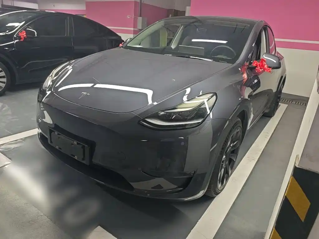 Tesla Model Y — миниатюра 2