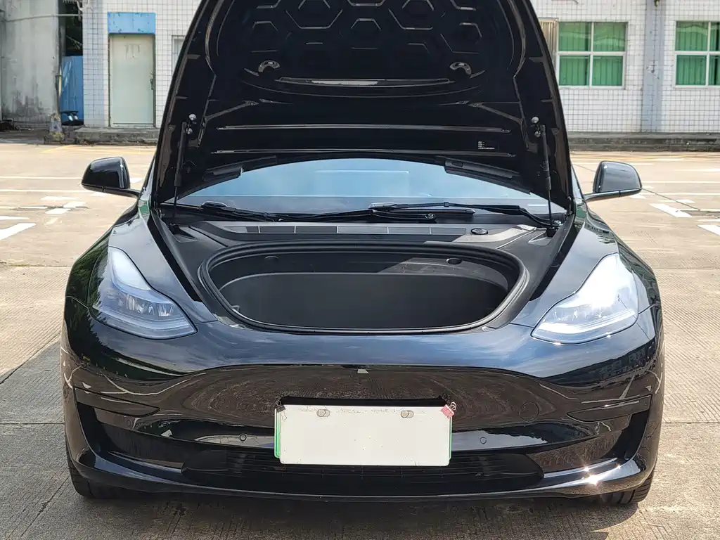 Tesla Model 3 — миниатюра 4