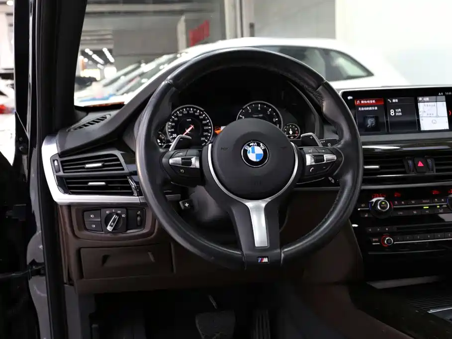 BMW X5 (Import) — миниатюра 10