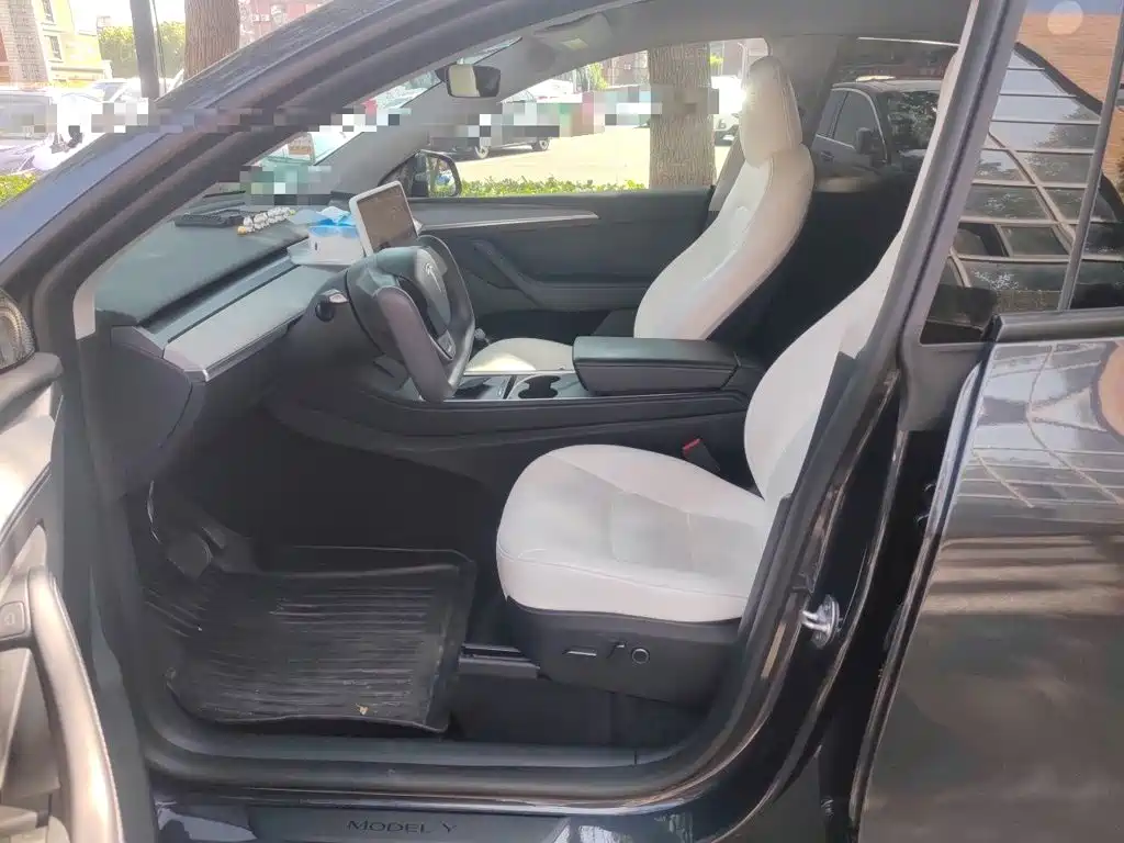 Tesla Model Y — миниатюра 11